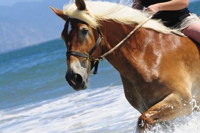 Horse Riding on the Beach